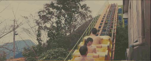 世界行为迷惑大赏,世界迷惑行为大赏解说