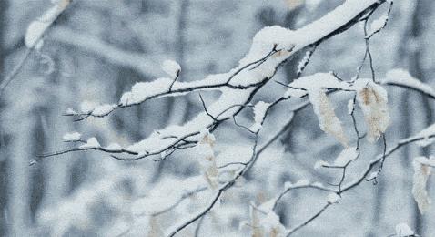 岁暮清欢浅冬安暖的意思,岁暮清欢浅冬安暖全诗意思