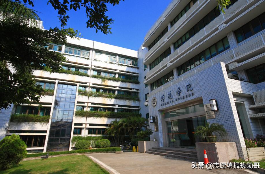 深圳大学专业性比较强,最好的大专深圳大学