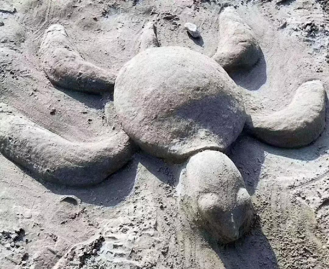 这样的海训我也报名参加