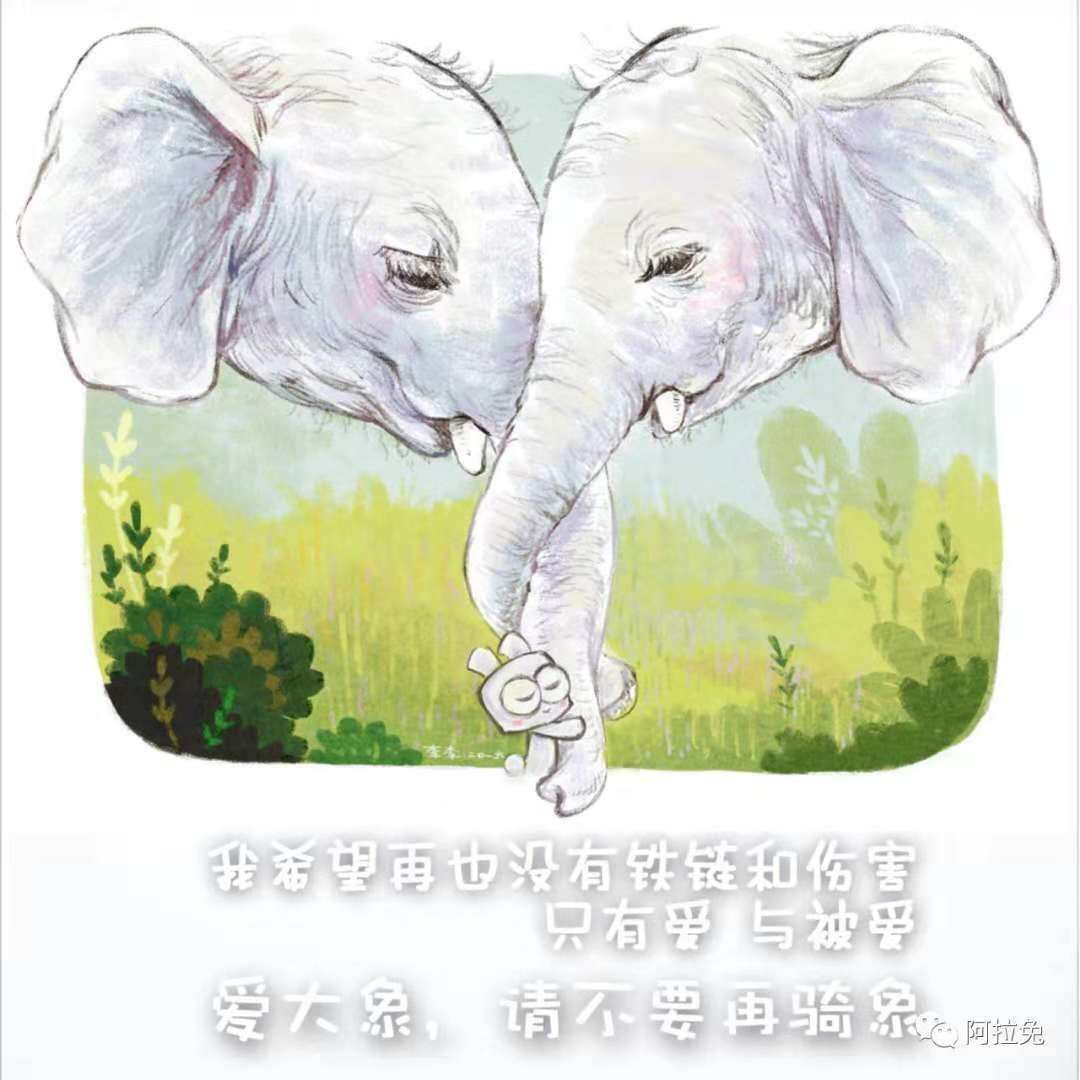 漫画家韩李李：为什么有的生命还在跟你说话，有的却变成了一道菜