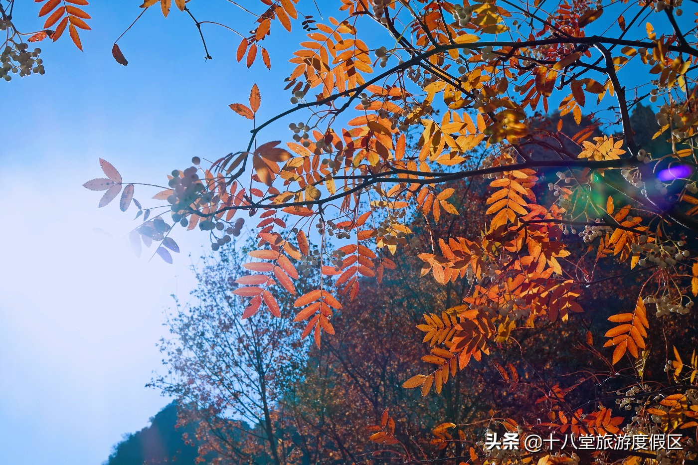 张家口有什么峡谷,张家口有什么大峡谷