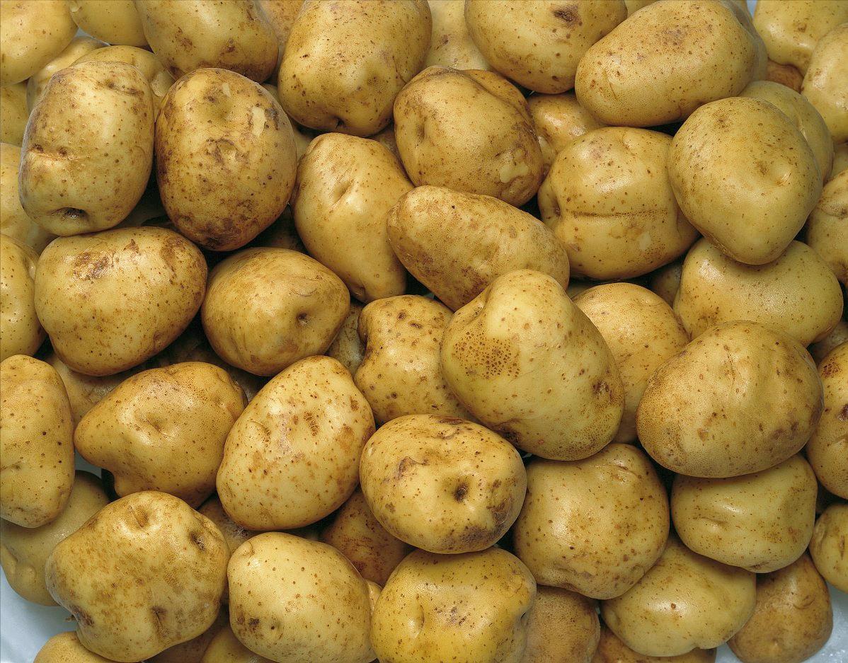 土豆肉末新吃法软嫩可口鲜香美味,土豆炖鸡家常做法鲜香入味