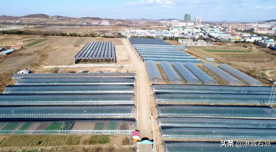 石岛即将开发的项目,石岛的项目