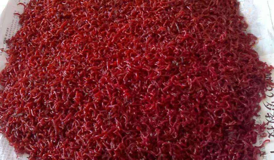 畜禽粪便废弃物处理新技术,红虫垃圾处理方法