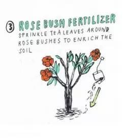 茶叶的妙用10个日常生活小妙招,包茶叶包技巧