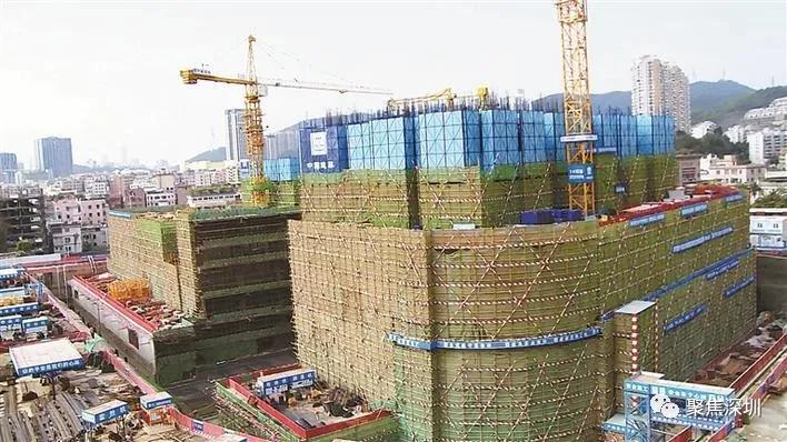 深圳市公园现在开放了吗,深圳这些公园今起恢复开放