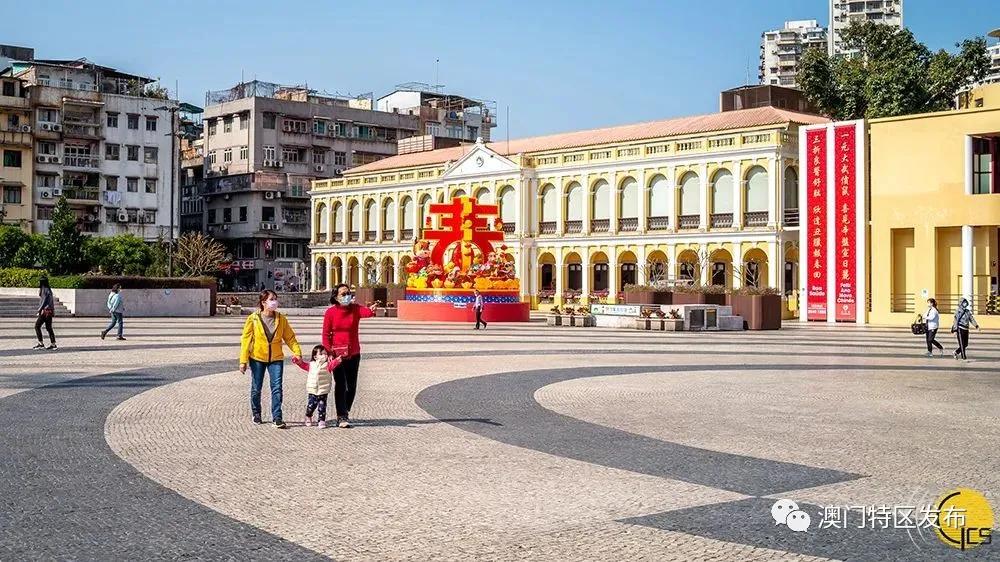 澳门美图欣赏,澳门春日赏花美图