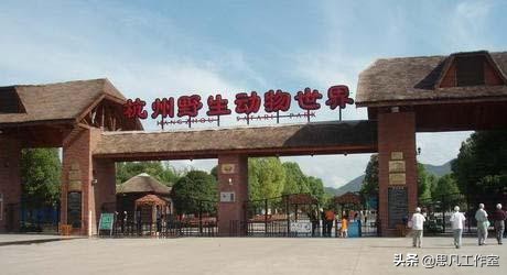 杭州富阳旅游攻略必去景点排名,杭州周边春天最值得去的旅游景点