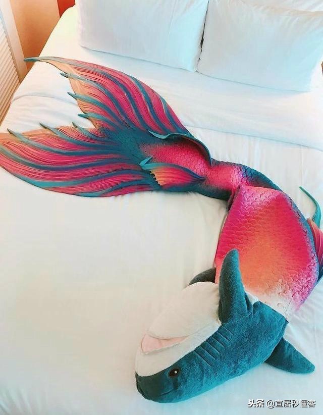 宜家小鲨鱼,为什么宜家鲨鱼火了