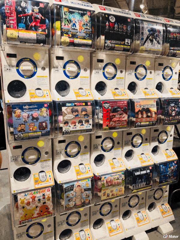 小坊探店|开业就断货！这家人气王百货，80斤小坊差点爬不出来