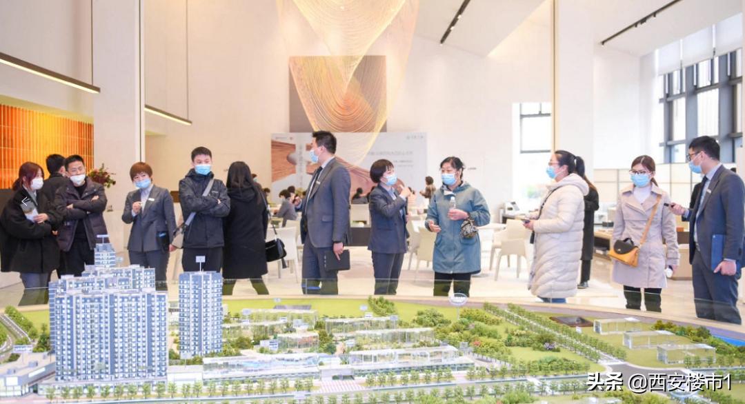 新机制是坑吗,新机制