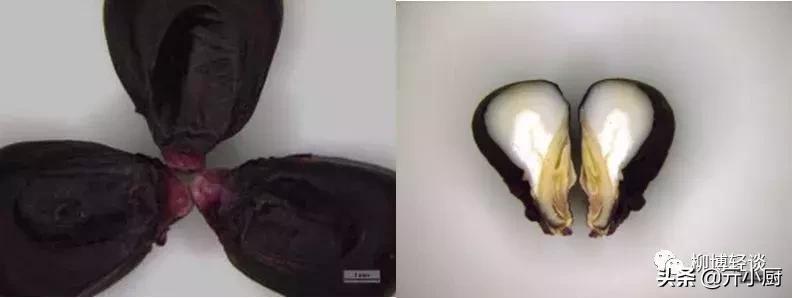 紫红色的新鲜玉米是转基因玉米吗,黑色微甜的玉米是转基因的吗