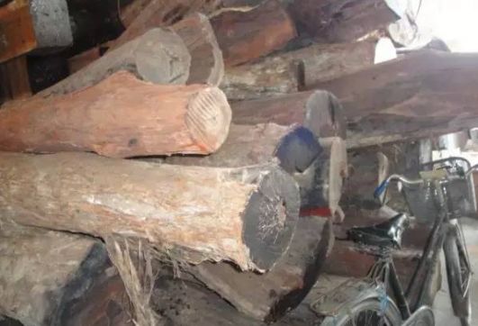 微凹黄檀和交趾黄檀的区别,交趾黄檀与微凹黄檀的区别