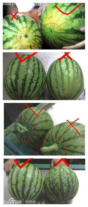 吃货必看的100个小技巧,吃货都有必要学会的小技巧