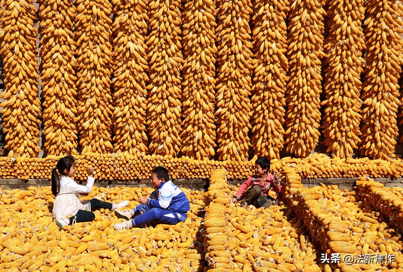 建党百年感人诗歌,献礼建党百年诗