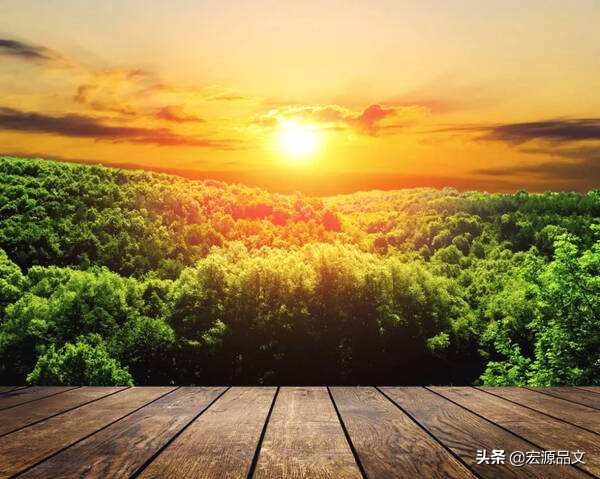 如何快速说出夸人的成语,夸人如何用成语来描述呢