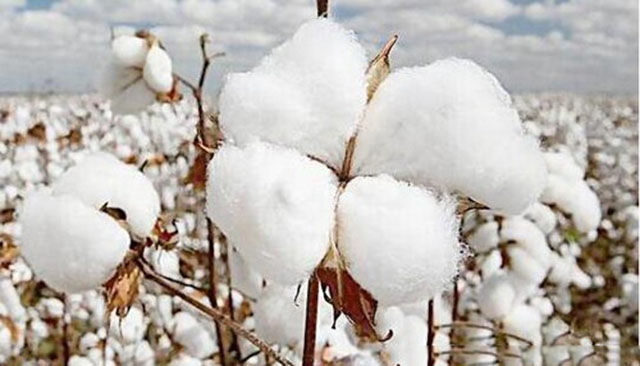 宋朝在历史上是一个什么样的朝代,宋朝很弱吗