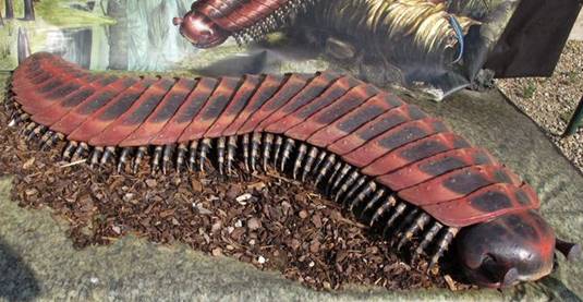 方舟生存进化最牛逼的防御,方舟生存进化最厉害的死亡蠕虫