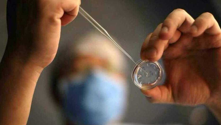 第三代试管婴儿究竟有什么不一样,第三代试管婴儿技术是怎样的