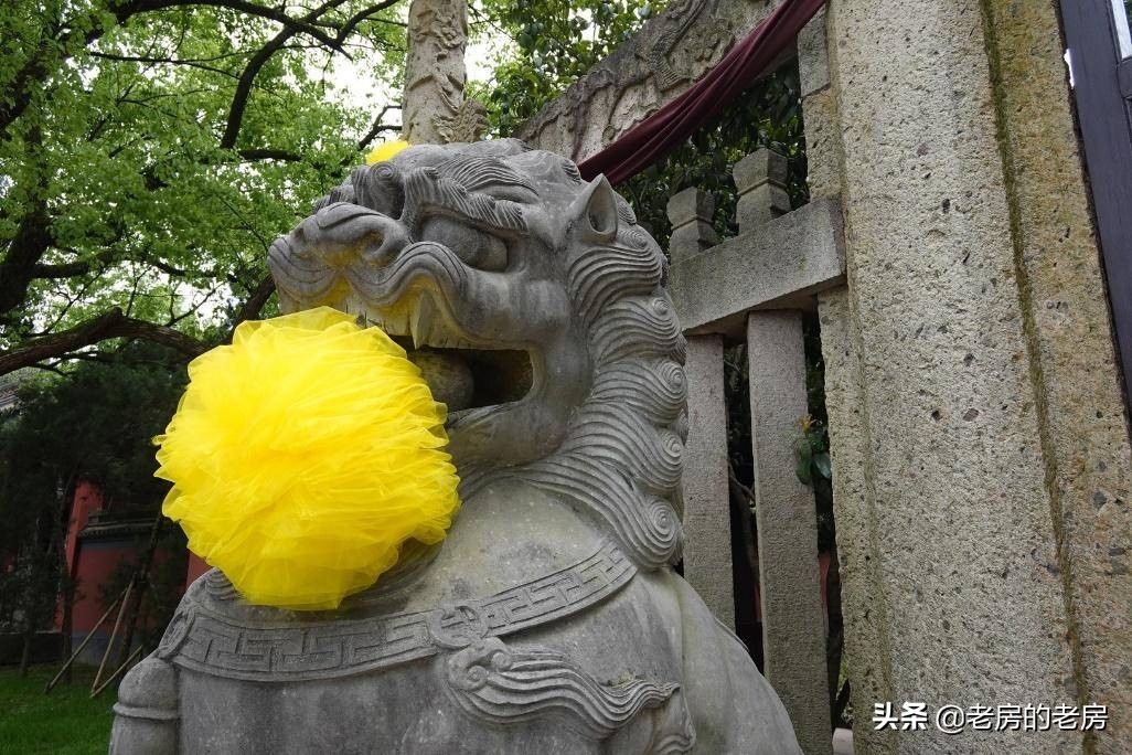 最便宜索尼vlog相机,索尼rx0m2值不值得买