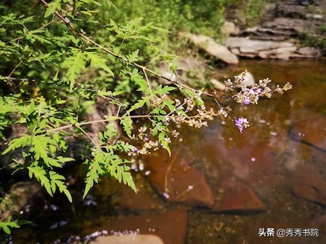 闀垮畨闆呭+,闀垮畨闆呭+瀹屾暣瑙嗛