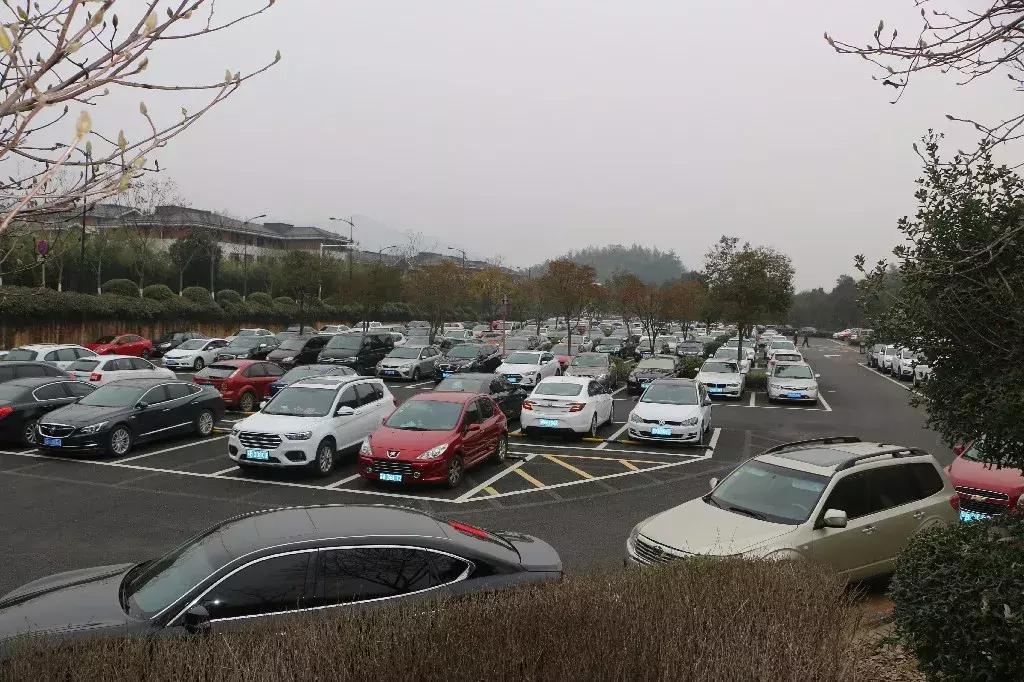 今天，我在宜兴竹海，过传统春节，沾福气满满！