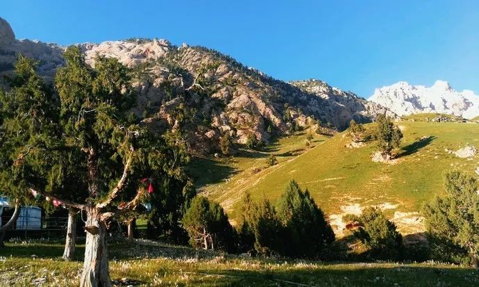 这条最“咸”最彩的公路,治好了我*藏西**的病,解掉了我*疆新**的毒