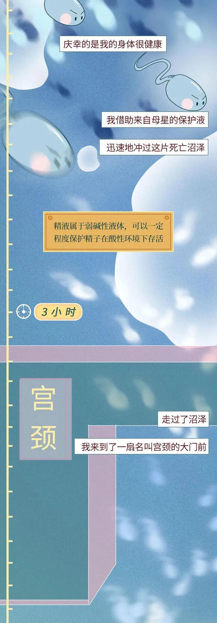 绮惧瓙杩涘叆浜轰綋1灏忔椂鍙樺寲,绮惧瓙杩涘叆浜轰綋48灏忔椂鍙樺寲