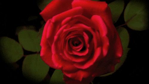 男人脱单香水,脱单香水哪种好