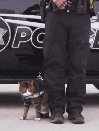 回家的路上看到这么多钱,背包都装不下啊,现在该怎么办