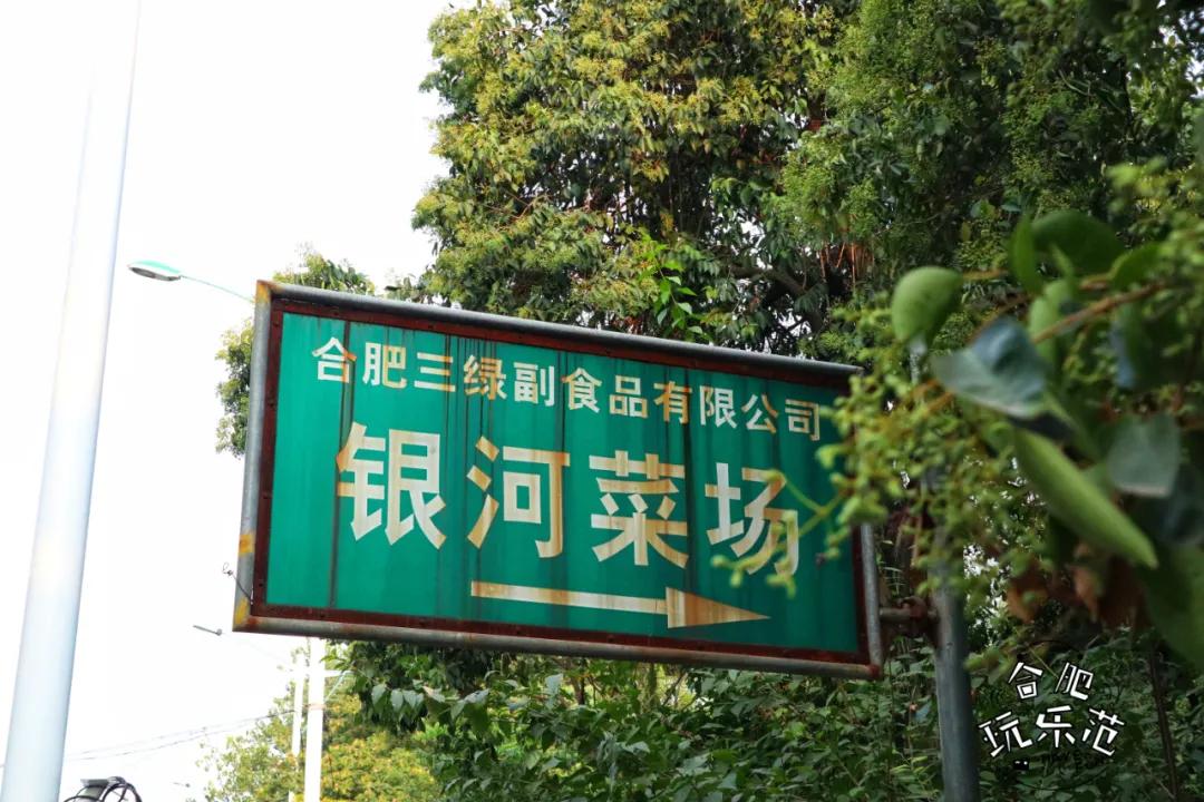 观银河,看银河听风吟的视频