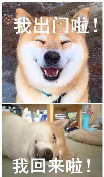 心血来潮做美甲视频,ins风泫雅美甲