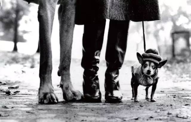 摄影的真谛在于发现美而不是造假,摄影的本质