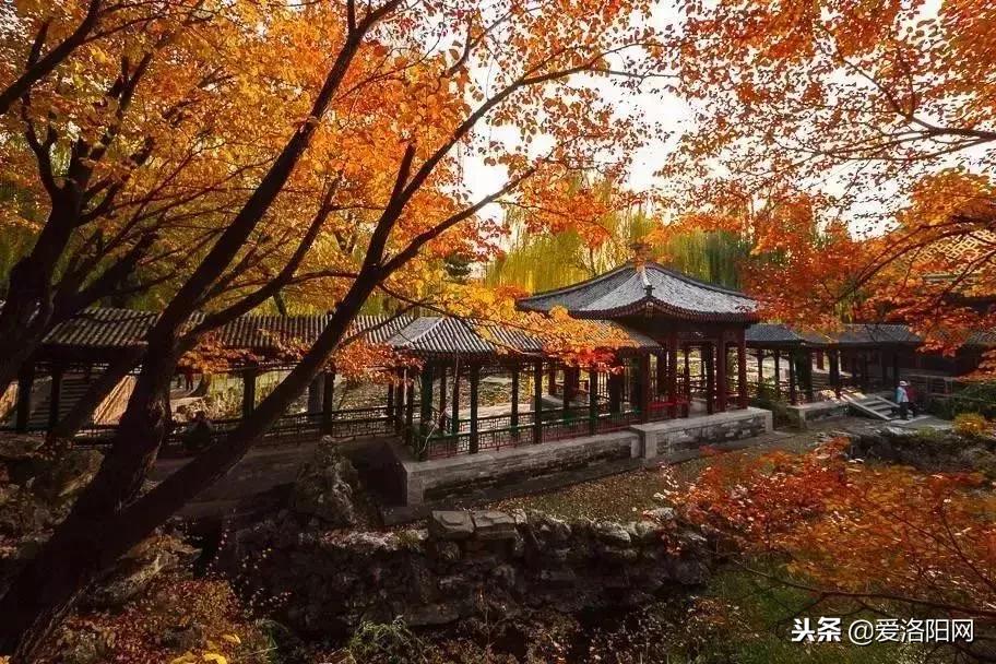 170元机票价格,170元飞机票