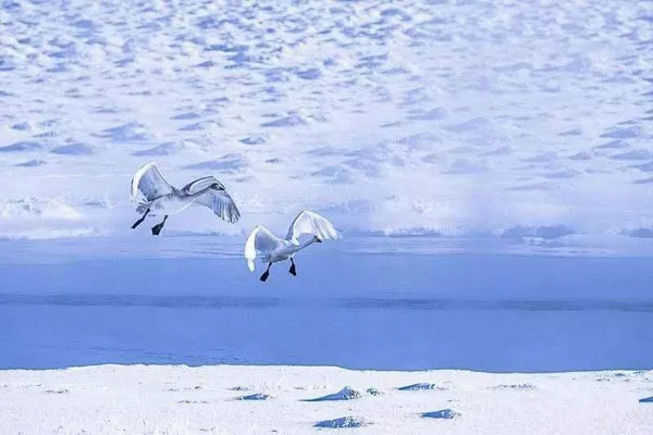 九曲十八弯河流,九曲十八弯水库