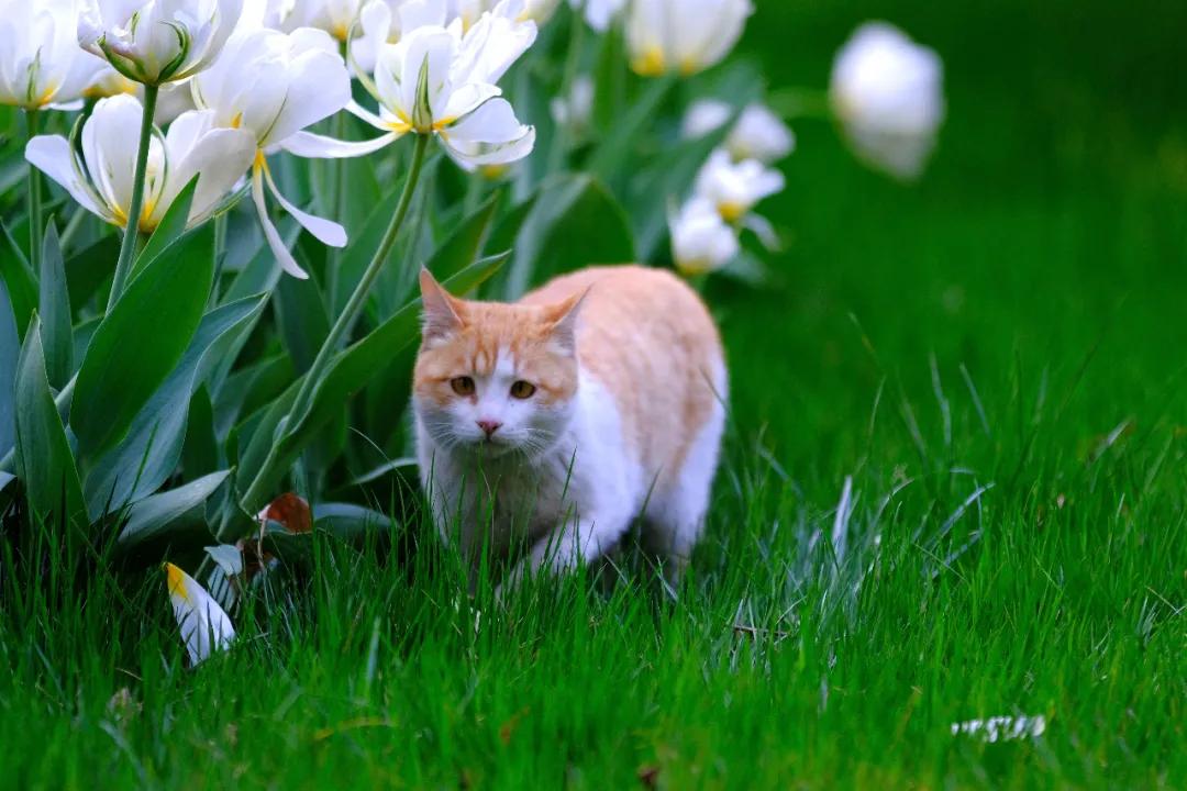 四月发生的事,东城发生的事