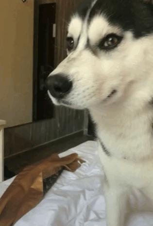 哭的时候喘不上气抽搐是什么症状,为什么身体平常会像哭完一样抽搐