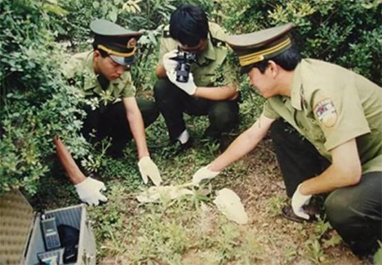 一头死猪牵出24具女尸案完整,一头死猪牵扯出24条命案