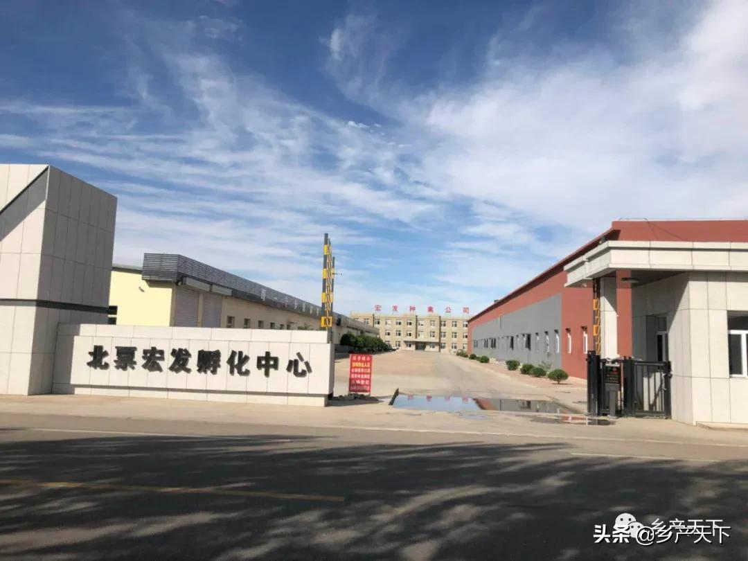 姝ｅぇ1浜垮彧鑲夐浮鍏ㄤ骇涓氶摼椤圭洰,鑲夐浮鍏绘畺琛屼笟榫欏ご浼佷笟