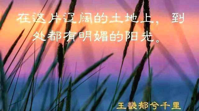 2020天津市宁河区,天津市宁河区蓟运河规划