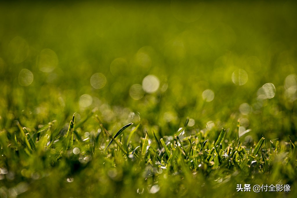 北京国际鲜花港有限公司,北京国际鲜花港一日游