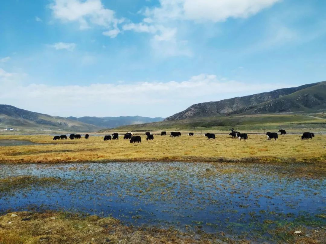 送亲戚年礼讲究什么呢,论过年亲戚的送礼