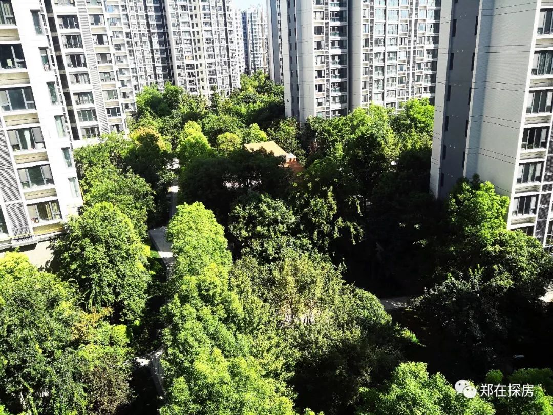 永威东棠属于哪个社区,永威东棠小区门口