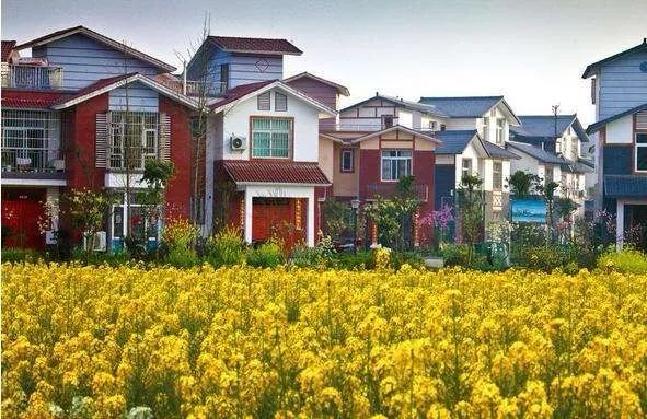 宅基地证也会过期？过期了怎么办？快来看看