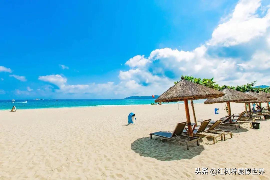 逃离北方的寒冷,逃离北方森林