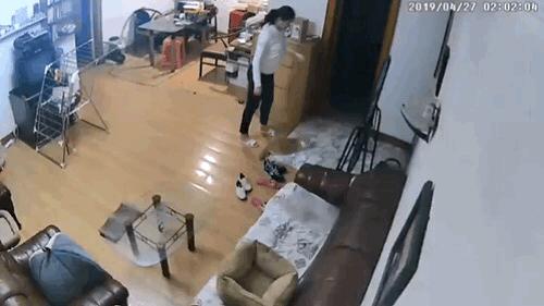 那些年舍友养过的奇葩宠物,你们身边的人都养什么奇怪的宠物