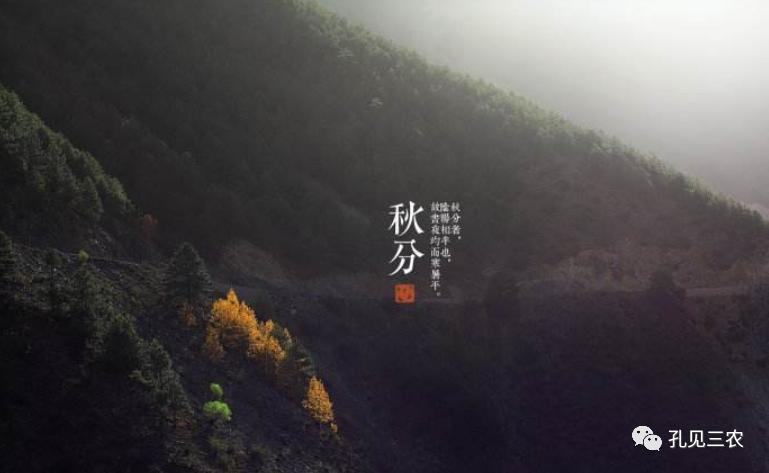 今天是秋分上午好问候图片,今天是秋分节的感悟