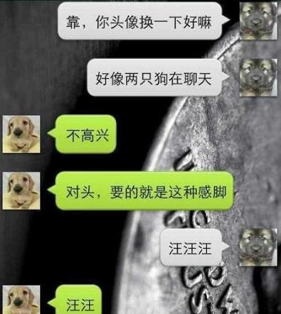 喝断片的女生搞笑,喝断片给前任打电话搞笑