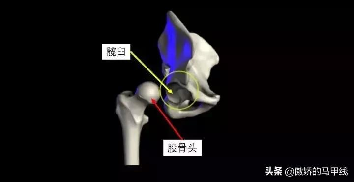 深蹲屁股眨眼如何改善,深蹲屁股眨眼正确吗